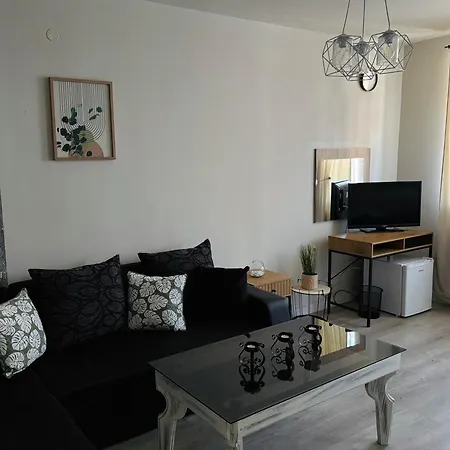 Hotell бутиков семеен брио 2*